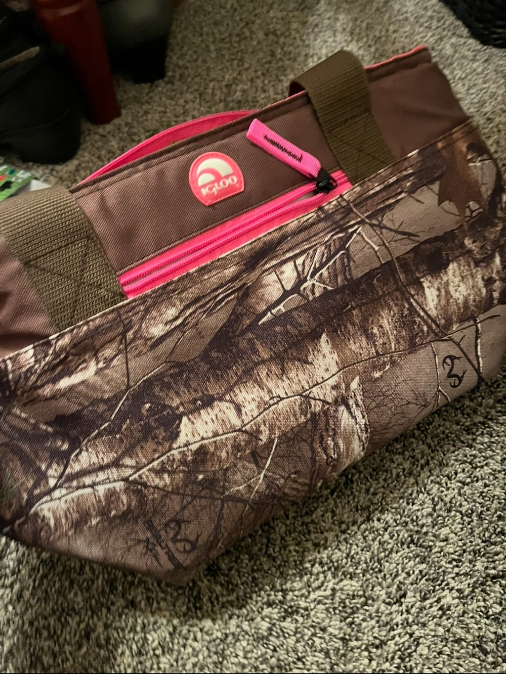 Igloo cooler bag